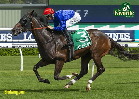 voyeusesur turf magique|BELLES TURF.